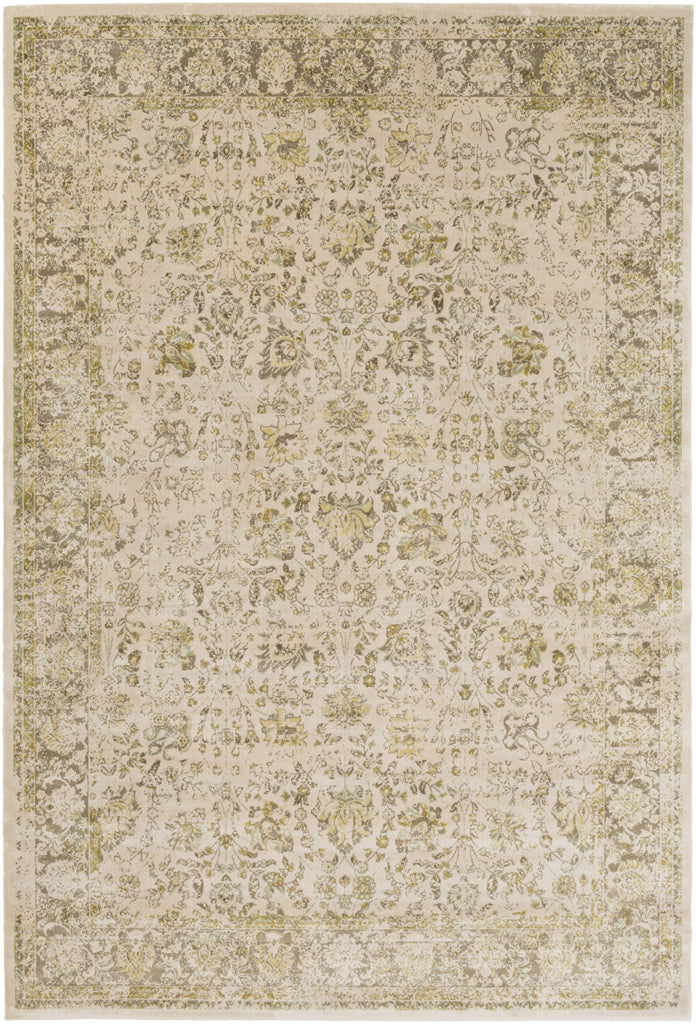 Saverio SEO-4011 Brown Area Rug by Surya