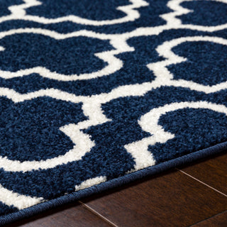 Surya Seville SEV-2300 Area Rug Detail