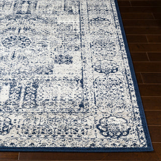 Surya Seville SEV-2306 Area Rug 