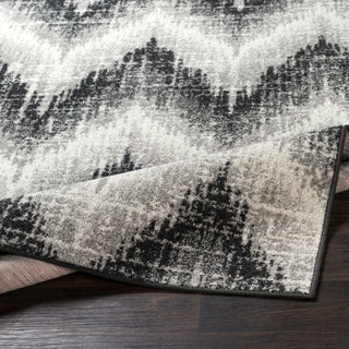 Surya Seville SEV-2311 Area Rug 