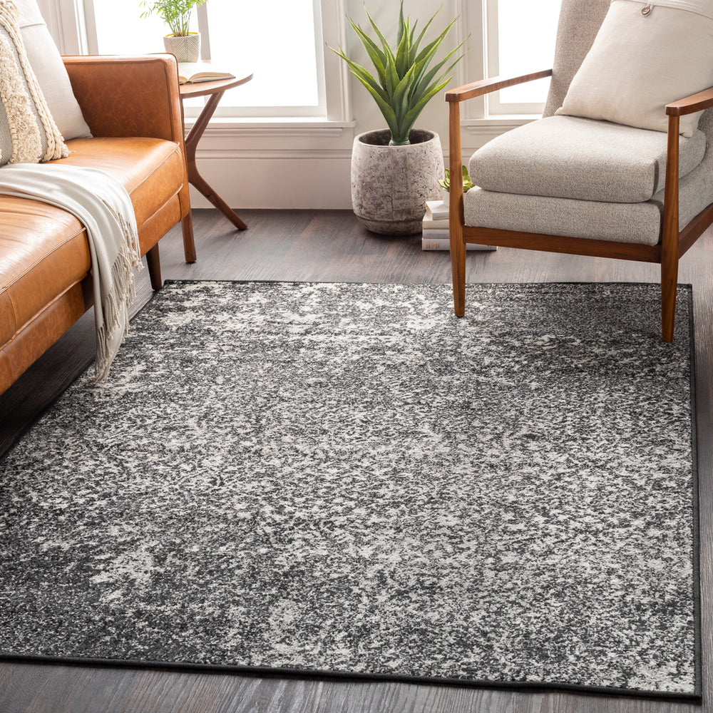 Surya Seville SEV-2313 Area Rug Room Scene Feature