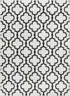 Surya Seville SEV-2316 Black White Area Rug Mirror main image