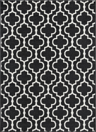 Surya Seville SEV-2317 Black White Area Rug Mirror main image