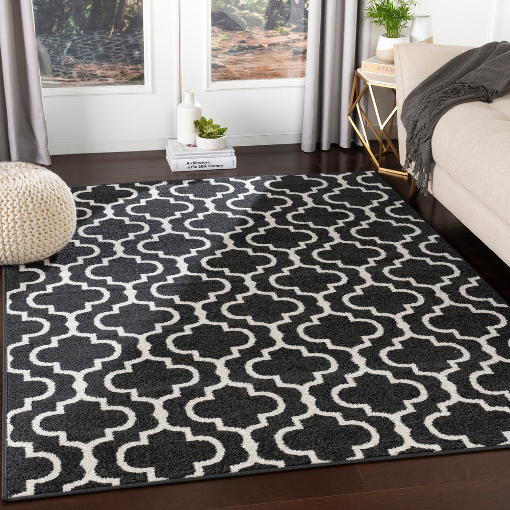 Surya Seville SEV-2317 Area Rug Room Scene Feature