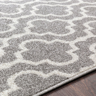 Surya Seville SEV-2318 Area Rug Detail