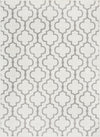 Surya Seville SEV-2319 Medium Gray White Area Rug Mirror main image