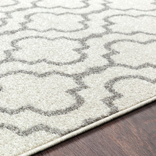 Surya Seville SEV-2319 Area Rug Detail