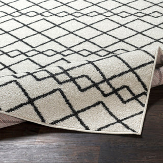 Surya Seville SEV-2320 Area Rug 