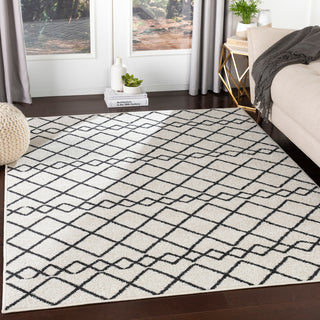 Surya Seville SEV-2320 Area Rug Room Scene Feature