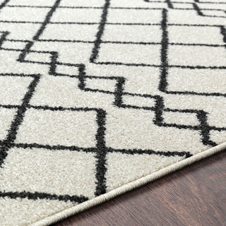 Surya Seville SEV-2320 Area Rug Detail