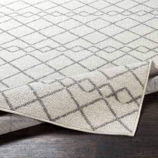 Surya Seville SEV-2321 Area Rug 