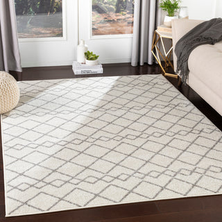 Surya Seville SEV-2321 Area Rug Room Scene Feature