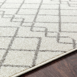 Surya Seville SEV-2321 Area Rug Detail