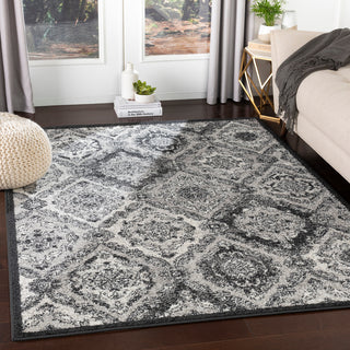 Surya Seville SEV-2322 Area Rug Room Scene Feature