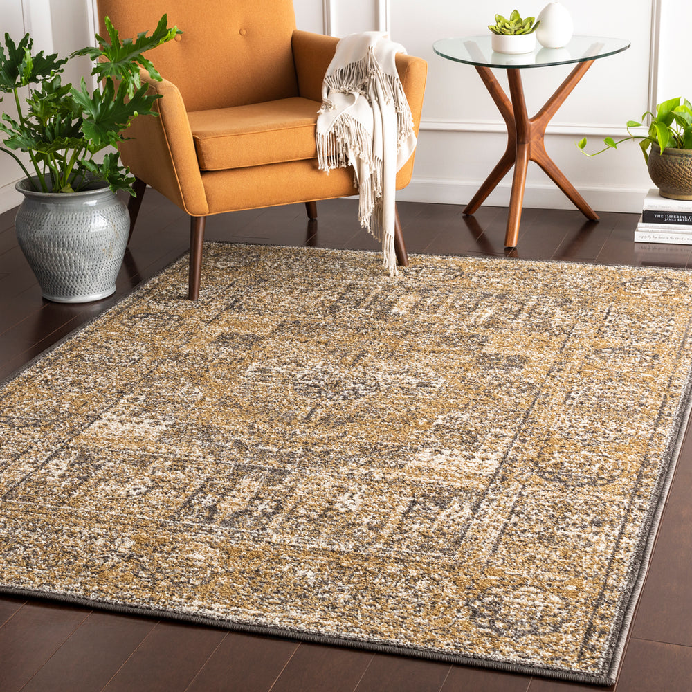 Surya Seville SEV-2328 Area Rug Room Scene Feature