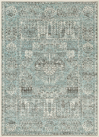 Surya Seville SEV-2329 Aqua Black White Area Rug Mirror main image