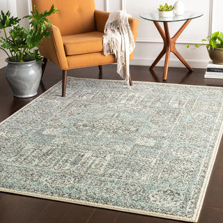 Surya Seville SEV-2329 Area Rug Room Scene Feature