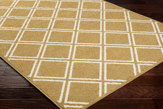Surya Seville SEV-2334 Area Rug Corner Shot