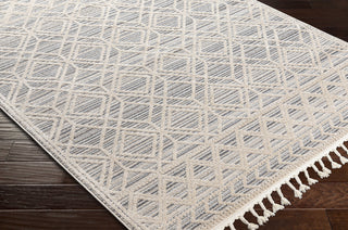 Surya Sofia SFA-2301 Area Rug Corner Shot
