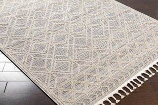 Surya Sofia SFA-2302 Area Rug Corner Shot