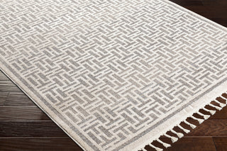 Surya Sofia SFA-2306 Area Rug Corner Shot