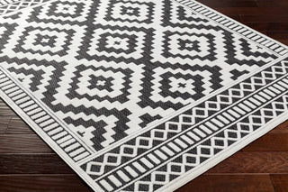 Surya San diego SFG-2301 Area Rug Corner Shot