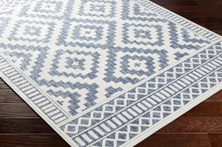 Surya San diego SFG-2304 Area Rug Corner Shot