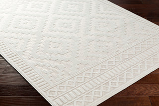 Surya San diego SFG-2305 Area Rug Corner Shot