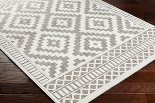 Surya San diego SFG-2306 Area Rug Corner Shot