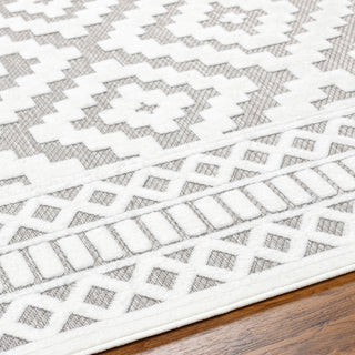 Surya San diego SFG-2306 Area Rug Detail