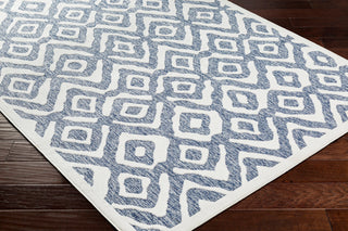 Surya San diego SFG-2313 Area Rug Corner Shot