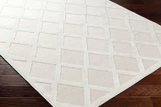 Surya San diego SFG-2315 Area Rug Corner Shot
