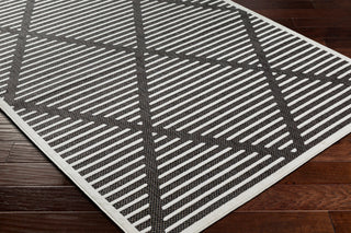 Surya San diego SFG-2317 Area Rug Corner Shot