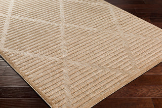Surya San diego SFG-2318 Area Rug Corner Shot
