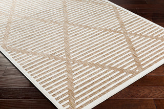 Surya San diego SFG-2319 Area Rug Corner Shot