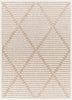 Surya San diego SFG-2319 Area Rug main image