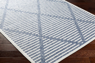 Surya San diego SFG-2320 Area Rug Corner Shot