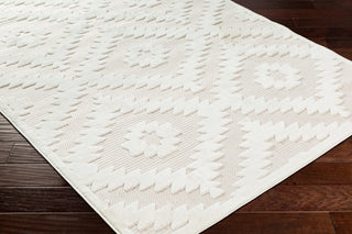 Surya San diego SFG-2321 Area Rug Corner Shot