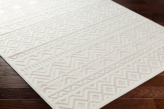 Surya San diego SFG-2323 Area Rug Corner Shot