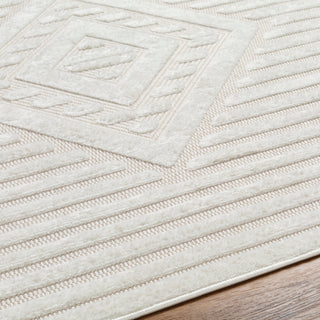 Surya San diego SFG-2324 Area Rug Detail