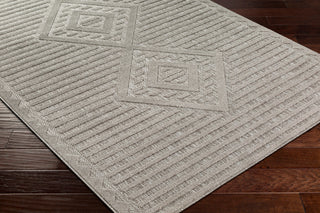 Surya San diego SFG-2325 Area Rug Corner Shot
