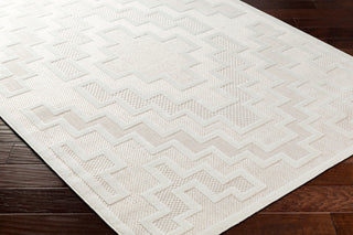Surya San diego SFG-2330 Area Rug Corner Shot