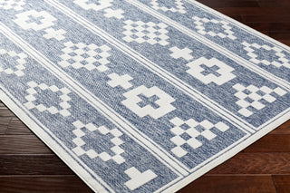 Surya San diego SFG-2331 Area Rug Corner Shot