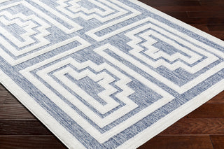 Surya San diego SFG-2335 Area Rug Corner Shot
