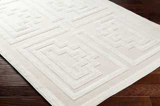 Surya San diego SFG-2336 Area Rug Corner Shot