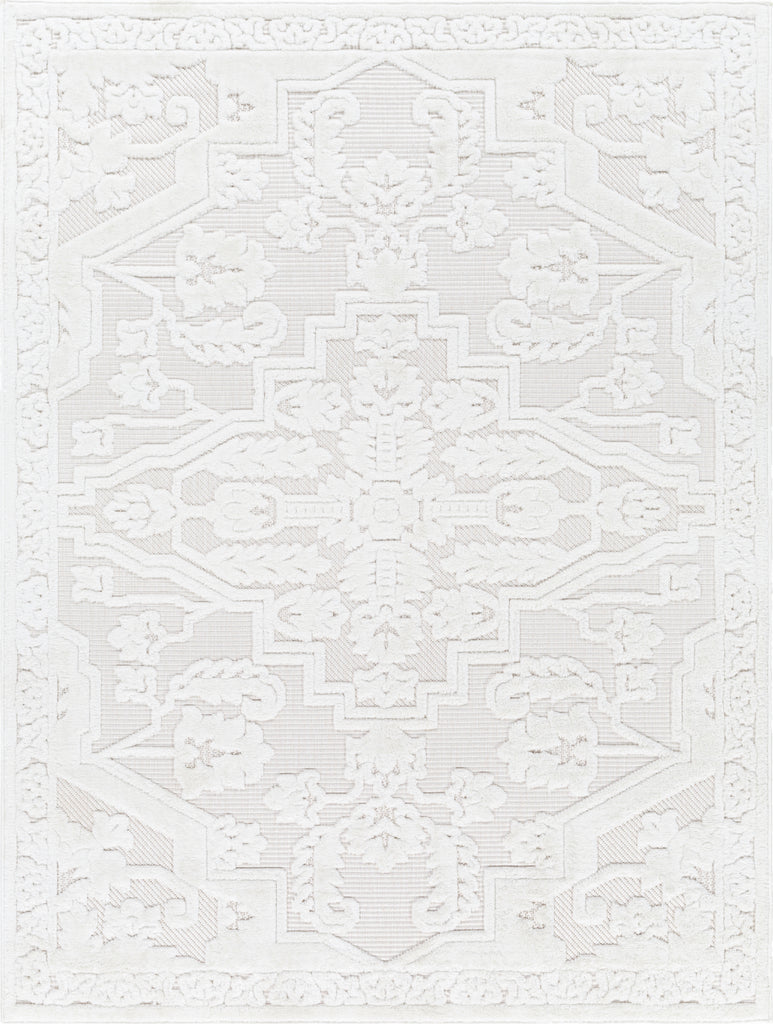 Surya San diego SFG-2339 Area Rug main image
