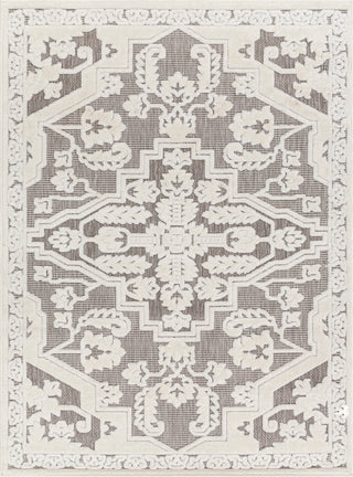 Surya San diego SFG-2340 Area Rug main image