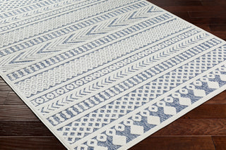 Surya San diego SFG-2348 Area Rug Corner Shot
