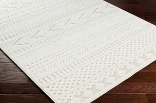 Surya San diego SFG-2349 Area Rug Corner Shot