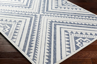 Surya San diego SFG-2352 Area Rug Corner Shot